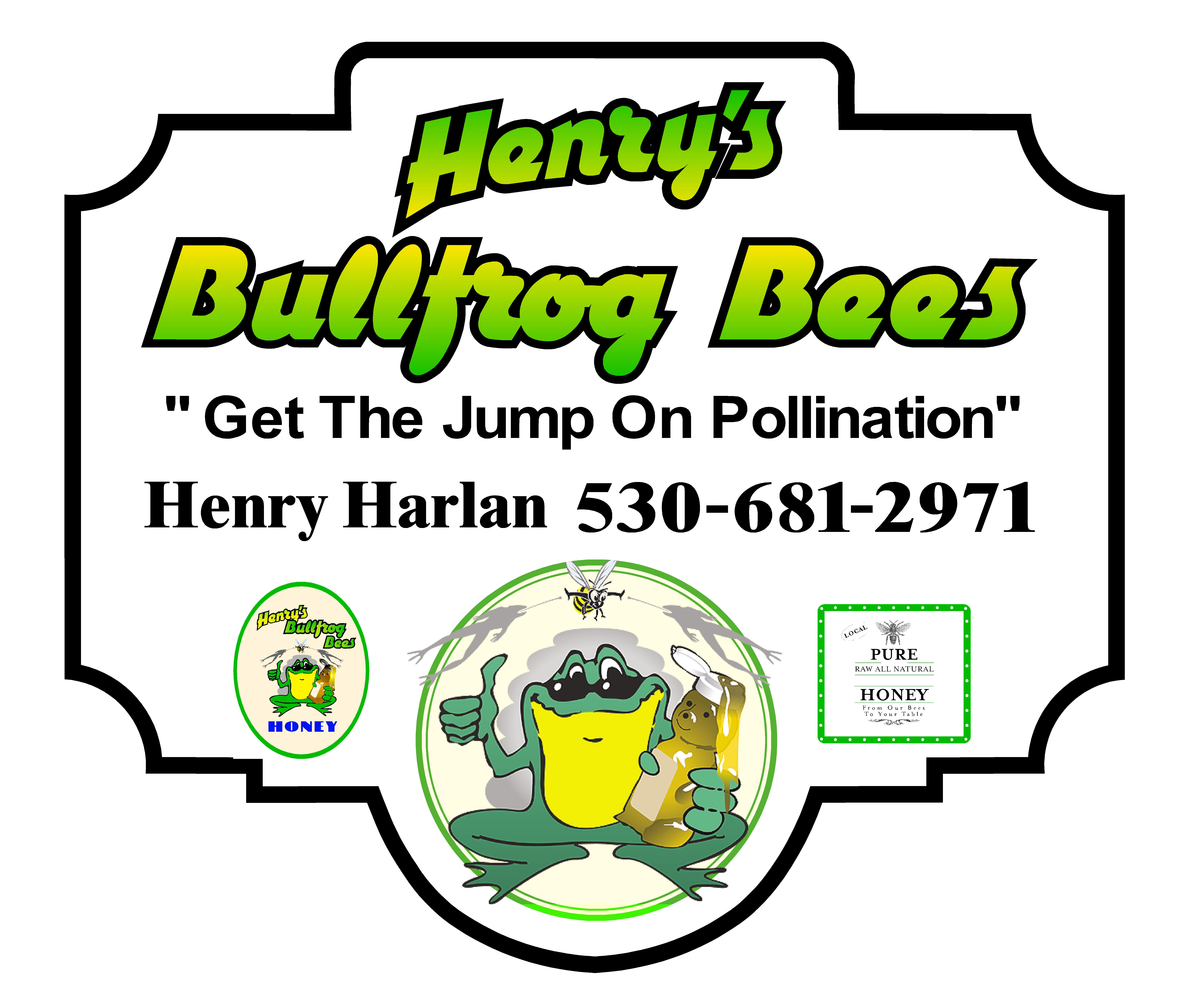 Henry’s Bullfrog Bees