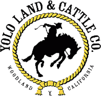 Yolo Land & Cattle Co.