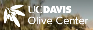 olive center