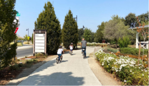People riding bikes on trail